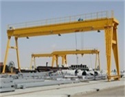 Double girder gantry crane